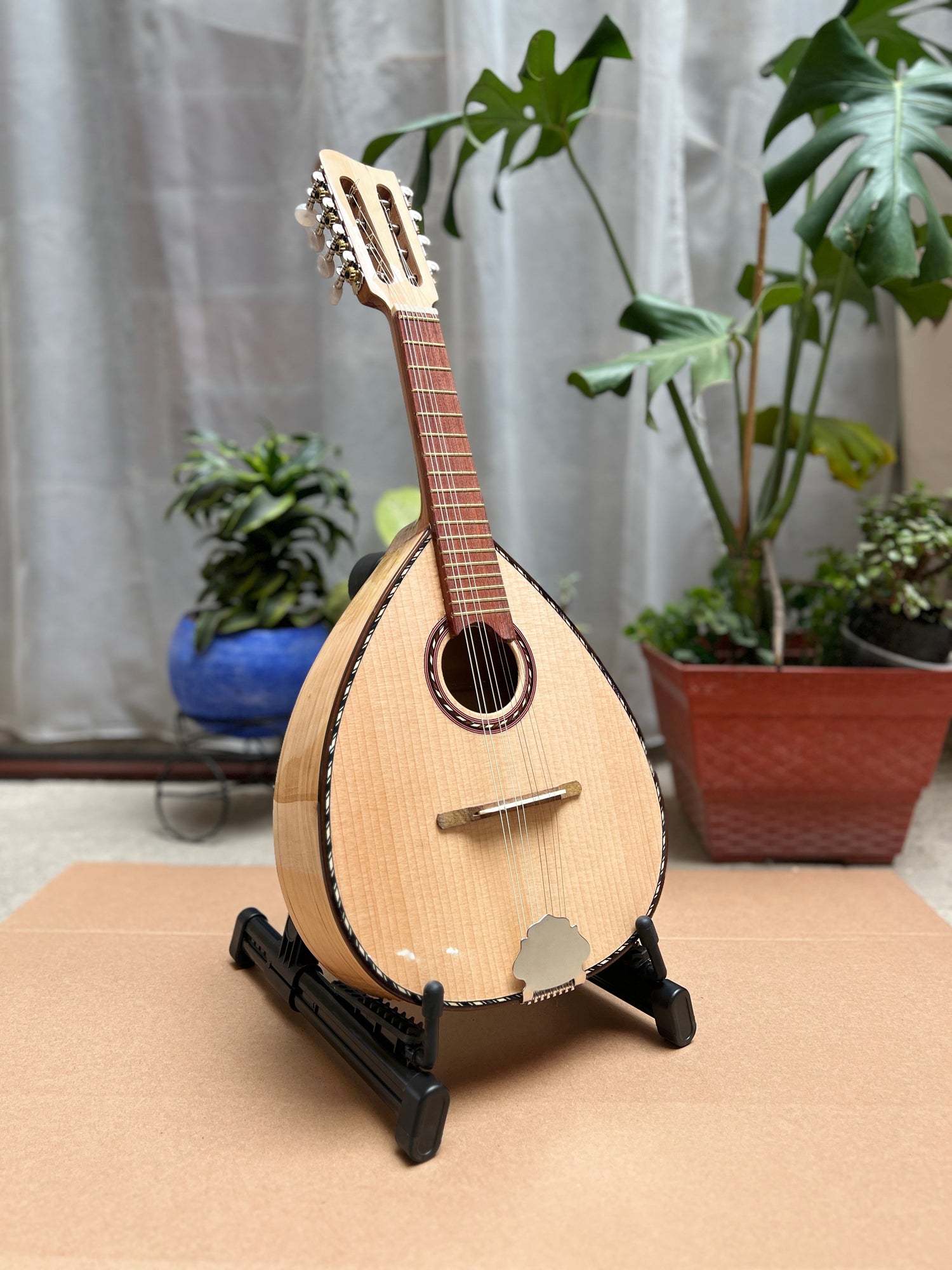 Mandolina