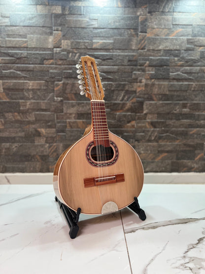 Bandurria M1